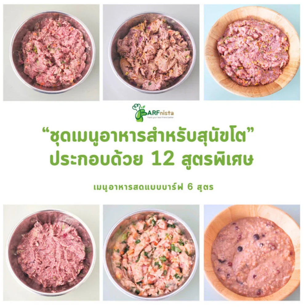 ชุดตัวอย่าง BARF สำหรับสุนัขโต 6 สูตร